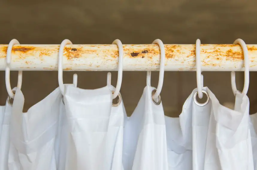 How to Prevent Mold on Shower Curtain Liner?