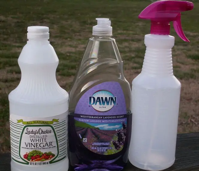 How to Wash Plastic Shower Curtain Liner in Washing Machine