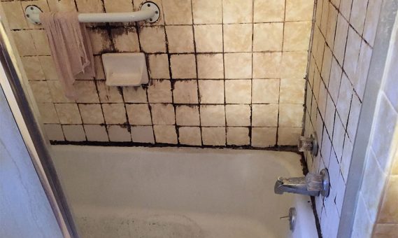 how-do-i-clean-black-mold-in-shower-silicone