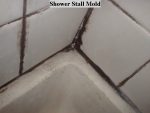 How do I Clean Black Mold in Shower Silicone?