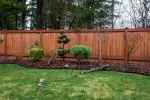 Hiring a Wood Fence Installation Company in Fort Worth