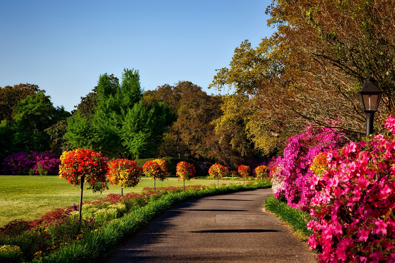 Benefits of Landscaping and Companies in Lansing MI